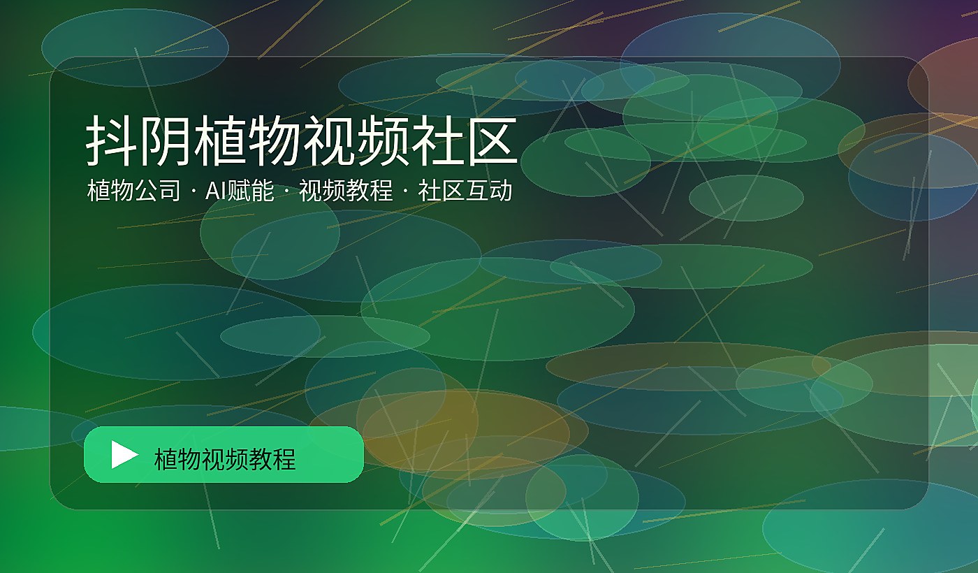 森街影像