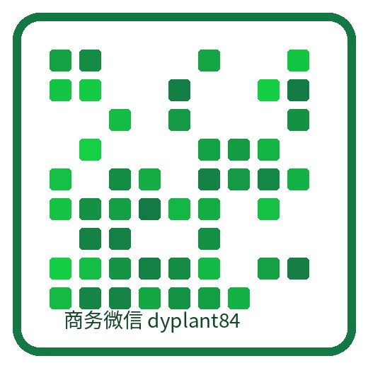 森街影像